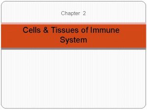 Immune effector cells
