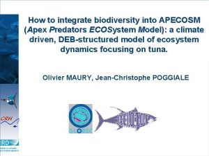 How to integrate biodiversity into APECOSM Apex Predators