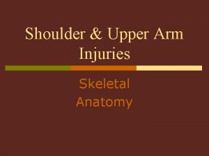 Shoulder Upper Arm Injuries Skeletal Anatomy Shoulder Upper