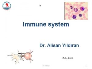 b Immune system Dr Alisan Yldran Ochs 2006