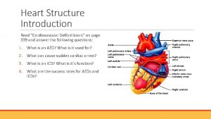 Heart Structure Introduction Read Cardiovascular Defibrillators on page