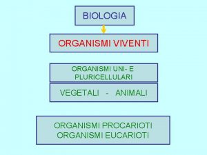 BIOLOGIA ORGANISMI VIVENTI ORGANISMI UNI E PLURICELLULARI VEGETALI