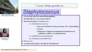 Cocos Grampositivos Instituto de Cincias Biomdicas USP ICBUSP