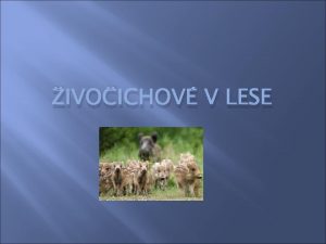 IVOICHOV V LESE POZNVAKA Na vbr mte ze