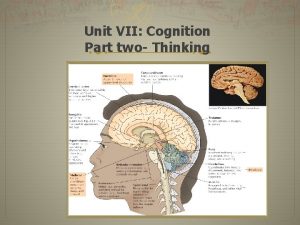 Unit VII Cognition Part two Thinking Thinking Cognition