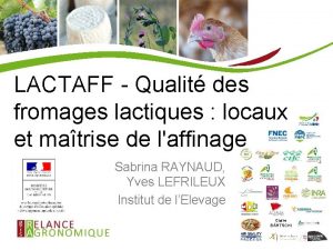 LACTAFF Qualit des fromages lactiques locaux et matrise