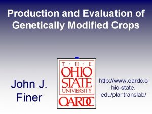 Production and Evaluation of Genetically Modified Crops John