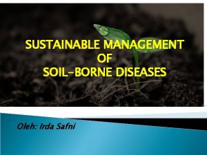 SUSTAINABLE MANAGEMENT OF SOILBORNE DISEASES Oleh Irda Safni