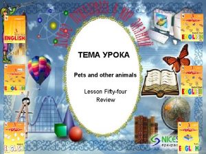 Pets and other animals Lesson Fiftyfour Review Big