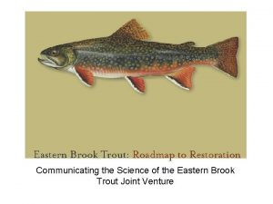 Communicating the Science of the Eastern Brook Trout
