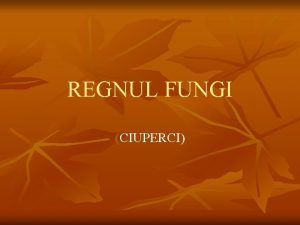 REGNUL FUNGI CIUPERCI Caractere generale gr mykes fungosciuperca