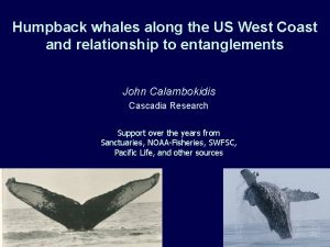 Humpback whales along the US West Coast and