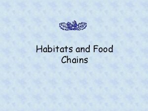 Habitats and Food Chains What is an ecosystem