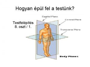 Hogyan pl fel a testnk Testfelpts 8 oszt