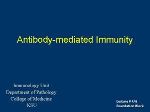 Antibodymediated Immunity Immunology Unit Department of Pathology College