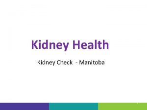 Kidney Health Kidney Check Manitoba 1 What are