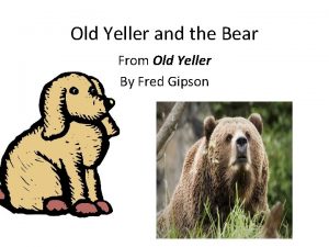 Old yeller bear