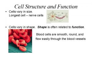 Cell Structure and Function Cells vary in size