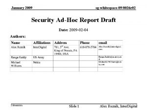 January 2009 sgwhitespace090026 r 02 Security AdHoc Report