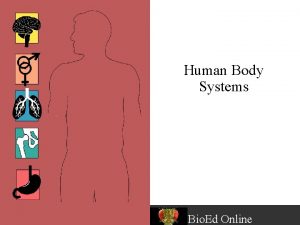 Human Body Systems Bio Ed Online Levels of