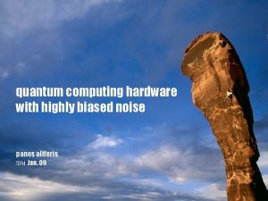 quantum computing hardware with highly biased noise panos