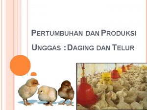 PERTUMBUHAN DAN PRODUKSI UNGGAS DAGING DAN TELUR I