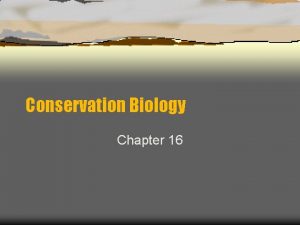 Conservation Biology Chapter 16 Biological Diversity Biodiversity refers