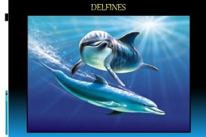 DELFINES OBJETIVO GENERAL Conocer el maravilloso mundo de