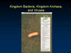 Kingdom Bacteria Kingdom Archaea and Viruses Outline Cellular