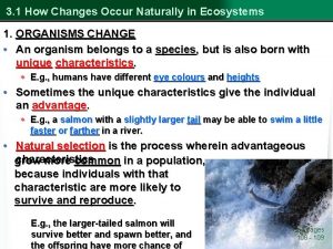 3 1 How Changes Occur Naturally in Ecosystems