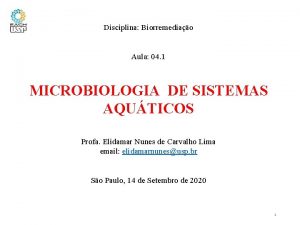 Disciplina Biorremediao Aula 04 1 MICROBIOLOGIA DE SISTEMAS