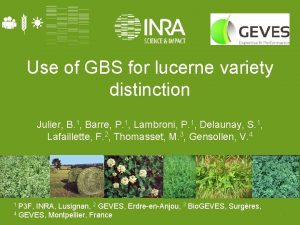 Use of GBS for lucerne variety distinction Julier