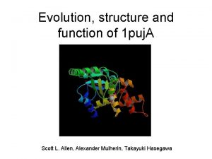 Evolution structure and function of 1 puj A