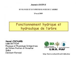 Journe ESTIVE ECOLOGIE ET ECOPHYSIOLOGIE DE LARBRE 19