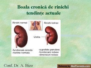 Boala cronic de rinichi tendine actuale Conf Dr