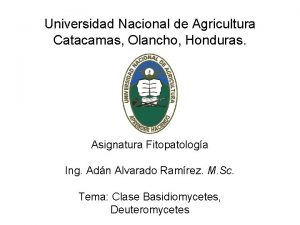 Universidad Nacional de Agricultura Catacamas Olancho Honduras Asignatura