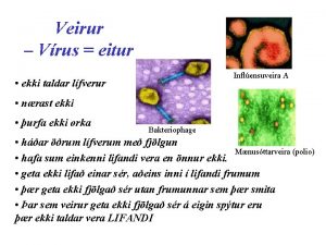 Veirur Vrus eitur Inflensuveira A ekki taldar lfverur