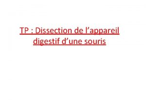 TP Dissection de lappareil digestif dune souris Matriel