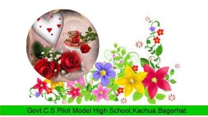 Govt C S Pilot Model High School Kachua