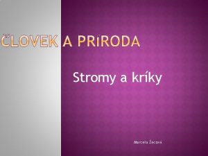 Stromy a krky Marcela ecov Vba vba palkov