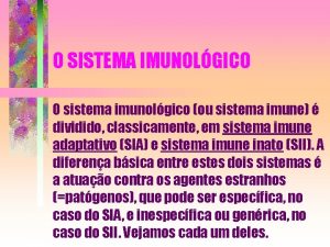 O SISTEMA IMUNOLGICO O sistema imunolgico ou sistema