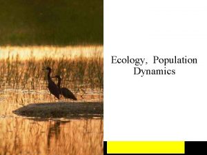 Ecology Population Dynamics Levels of Biological Organization n