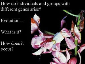 How do individuals and groups with different genes