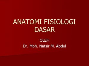 ANATOMI FISIOLOGI DASAR OLEH Dr Moh Natsir M