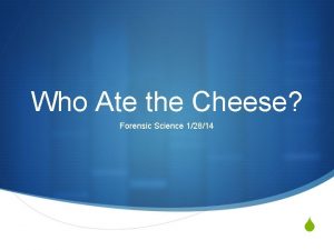 Who ate the cheese lab