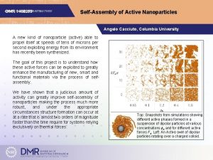 DMR 1408259 SelfAssembly of Active Nanoparticles Angelo Cacciuto