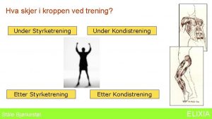 Hva skjer i kroppen ved trening Under Styrketrening