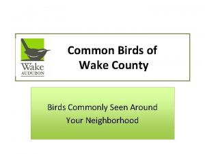 Common Birds of Wake County Birds Commonly Seen