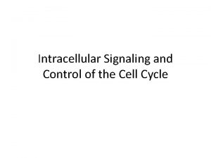 Intracellular Signaling and Control of the Cell Cycle