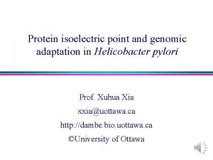 Protein isoelectric point and genomic adaptation in Helicobacter